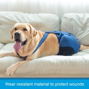 Coodeo Dog Recovery Suit, Cone Collar Alternative, Abrasion Resistant Dog Recovery Rear Sleeves, Washable 2.5mm Thick and Waterproof, Pet Wounds Prevent Licking, Biting (2XL, Blue)