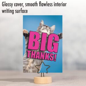 NobleWorks Birthday Thank You Paper Card with 5 x 7 Inch Envelope (1 Card) Cat Big Thanks C2368DTBG