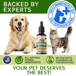 Аdrеnаl Balance for Dogs and Cats - Cushings Treatment for Pets, Аdrеnаl Support w/Ashwagandha, Licorice Root, Rhodiola Rosea – Best Cushings Treatment for Dogs - 2oz Harmony Herbal Drops