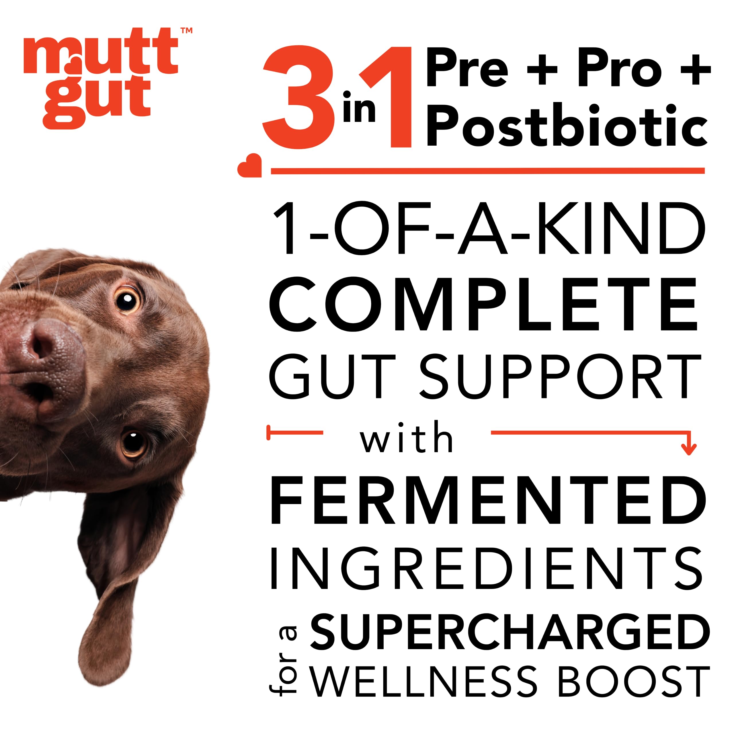 MuttGut All-Natural 3-in-1 Dog Probiotic, Prebiotic, and Postbiotic Supplement Powder - Probiotics for Dogs with 135 Billion CFUs, Anti Diarrhea, Digestive Enzymes & Antioxidants (90g)