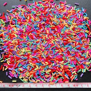 EHOPE 50g Fake Sprinkles Resin Sprinkles Fake Candy Sprinkles Clay Sprinkles Polymer Sprinkles Polymer Clay Slices for Nail Art DIY Crafts Cake Phone Case(21-Colorful Sugar）