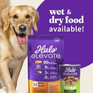 HALO Elevate Dry Dog Food, Healthy Grains Chicken Recipe, 3.5lb