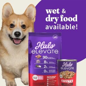 Halo Elevate Dry Dog Food, Healthy Grains Red Meat Recipe, Small Breed, 3.5lb