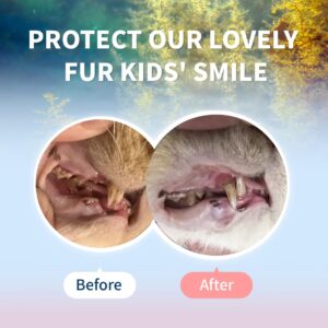 Love Can Fly Cat Teeth Cleaning Powder for Cat, Plaque, Tartar Remover for Oral Health, Eliminates Bad Breath, Natural Ingredients Fucoidan Brown Algae, Norwegian Kelp Persimmon Tannin 1.4 Oz