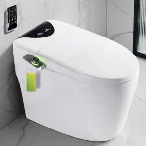 smart toilet with bidet built in - modern bidet toilet with remote control, into the seat wet wall, temperature controlled, wash functions and air dryer, siamese automatic toilet with water tank