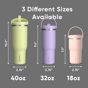 Hydrapeak Nomad 32 oz Tumbler with Handle and Straw Lid, Leakproof Tumbler, Tumbler Lid Straw, Double Insulated Tumblers, 32oz Double Insulated Cup Straw, Stainless Steel (Black)