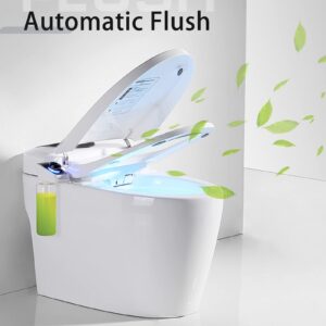 Smart Toilet with Bidet Built In - Modern Bidet Toilet with Remote Control, Into the Seat Wet Wall, Temperature Controlled, Wash Functions and Air Dryer, Siamese Automatic Toilet with Water Tank