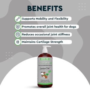 WONDER PAWS Liquid Glucosamine Drops Plus Milk Thistle Drops - for Dog Joint Health, Mobility Support, Liver, Detox & Overall Wellness – Liquid Glucosamine 16 Ounces - Milk Thistle 2 Ounces