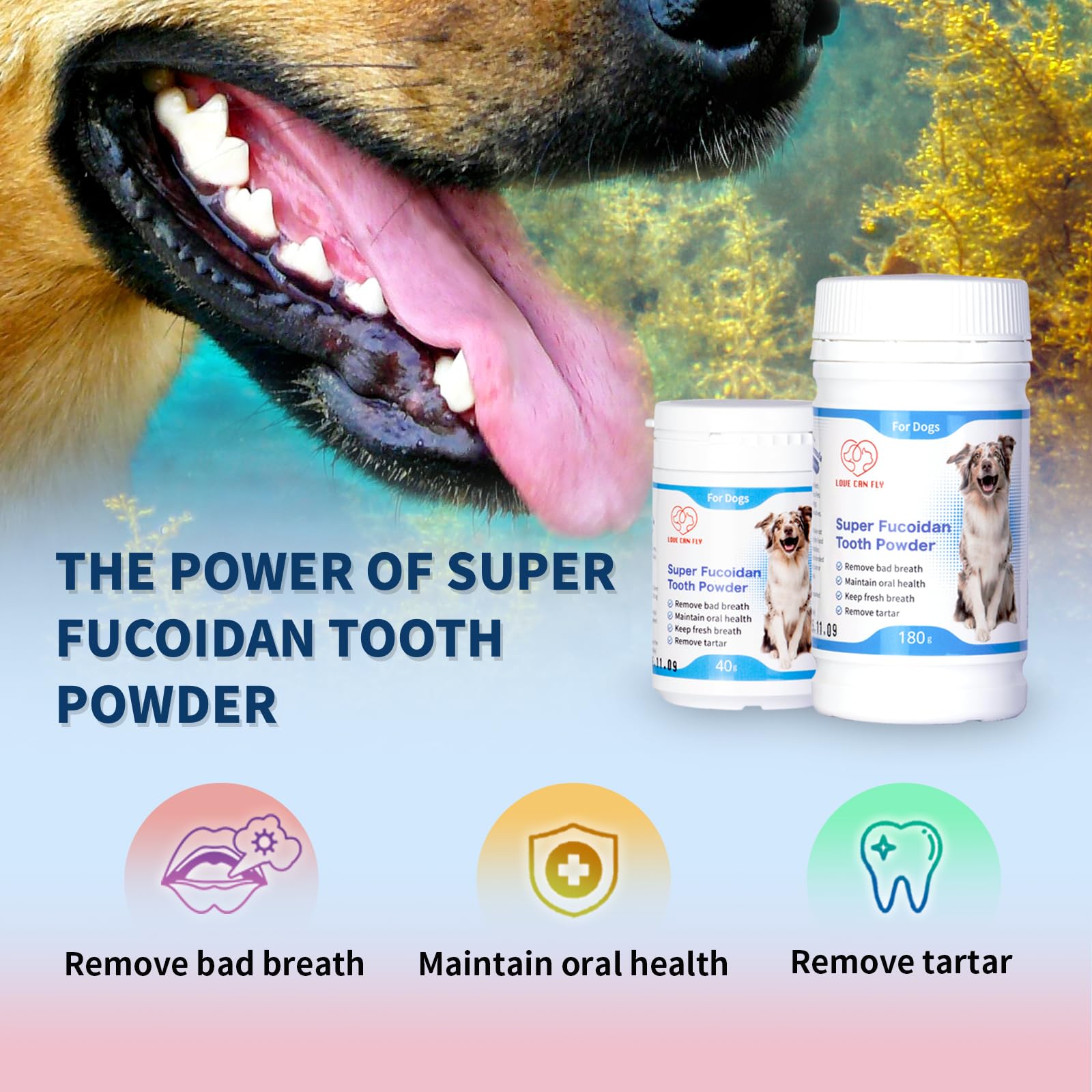 Love Can Fly Dog Teeth Cleaning Powder for Dog, Plaque, Tartar Remover for Oral Health, Eliminates Bad Breath, Natural Ingredients Fucoidan Brown Algae, Norwegian Kelp Persimmon Tannin (1.4 Oz)