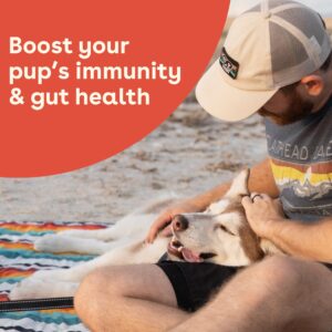 Pupford Gut Health & Immunity Supplement for Puppies and Adult Dogs, Made in The USA, Vet Approved, No Artificial Flavors, Peanut Butter and Jelly, Net Wt. 6.3 oz (120g)