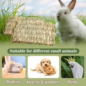 Sukh 2 PCS Rabbit Grass Mats - Natural Hay Woven Bunny Rabbit Bad Cage Mats Pet Bedding Cooling Sleeping Nesting & Toys for Hamster Bunny Chinchilla Guinea Pig Mouse Bird and Other Small Animal