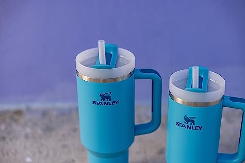 Stanley Quencher H2.0 FlowState Stainless Steel Vacuum Insulated Tumbler with Lid and Straw for Water, Iced Tea or Coffee, Smoothie and More, Pool, 30 oz