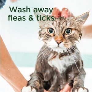 SimpleSource® Flea & Tick Shampoo for Cats, Powered by Plants, Kills Fleas, Flea Eggs, Flea Larvae, Ticks, & Mosquitos, Cleans & Deodorizes, 12oz Bottle