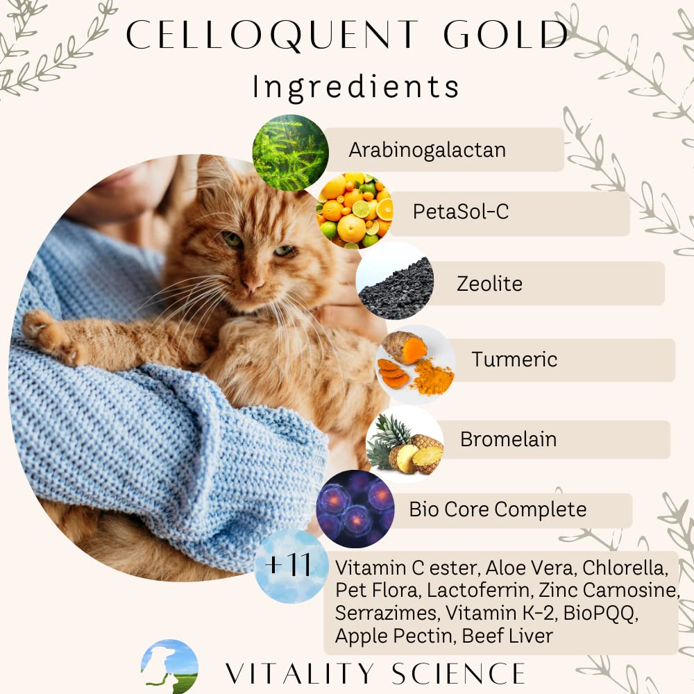 Vitality Science Celloquent Gold for Cats | Holistic Advanced Immune Support Supplement | 17 Synergistic Ingredients | Auto Immune, Vomit and Diarrhea, Depression (60g)