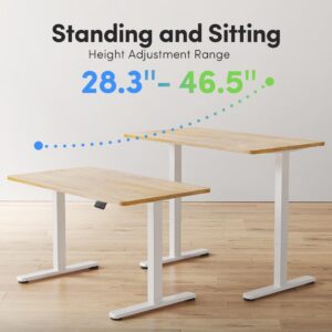 FEZIBO Electric Standing Desk, 48 x 24 Inches Height Adjustable Stand up Desk, Sit Stand Home Office Desk, Computer Desk, Maple