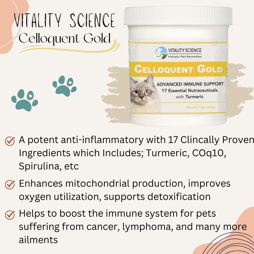 Vitality Science Celloquent Gold for Cats | Holistic Advanced Immune Support Supplement | 17 Synergistic Ingredients | Auto Immune, Vomit and Diarrhea, Depression (60g)