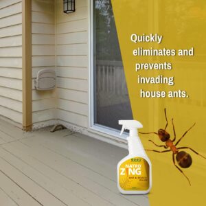 NatroZing Ant & Roach Killer 11 oz Indoors and Outdoors, Ant Spray for Home, Ant Repellent for House, Fast Kill, Prevents for Weeks, Also Kills Roaches Spiders Centipedes