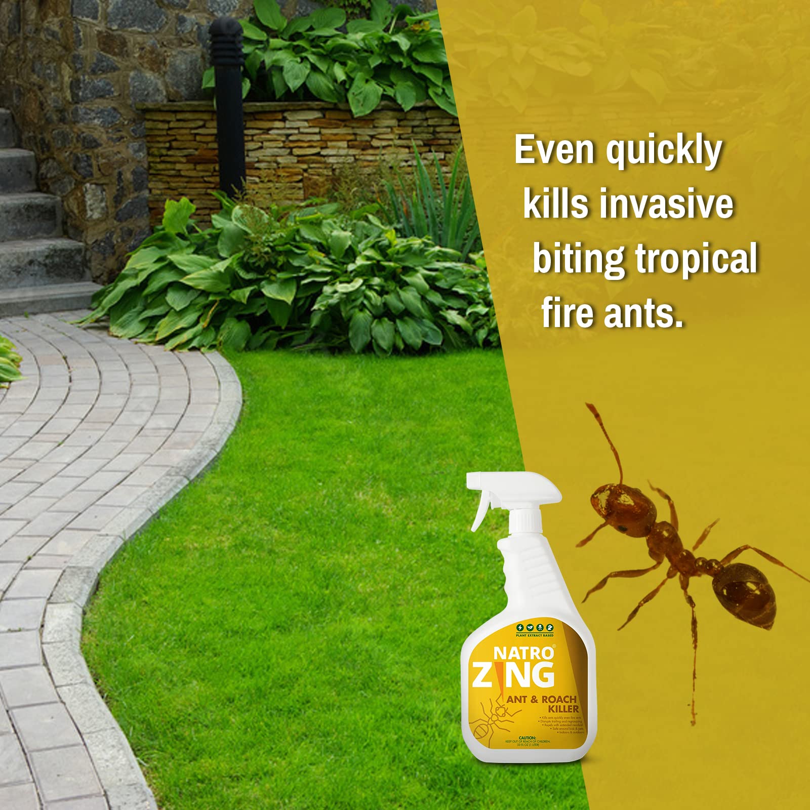 NatroZing Ant & Roach Killer 11 oz Indoors and Outdoors, Ant Spray for Home, Ant Repellent for House, Fast Kill, Prevents for Weeks, Also Kills Roaches Spiders Centipedes