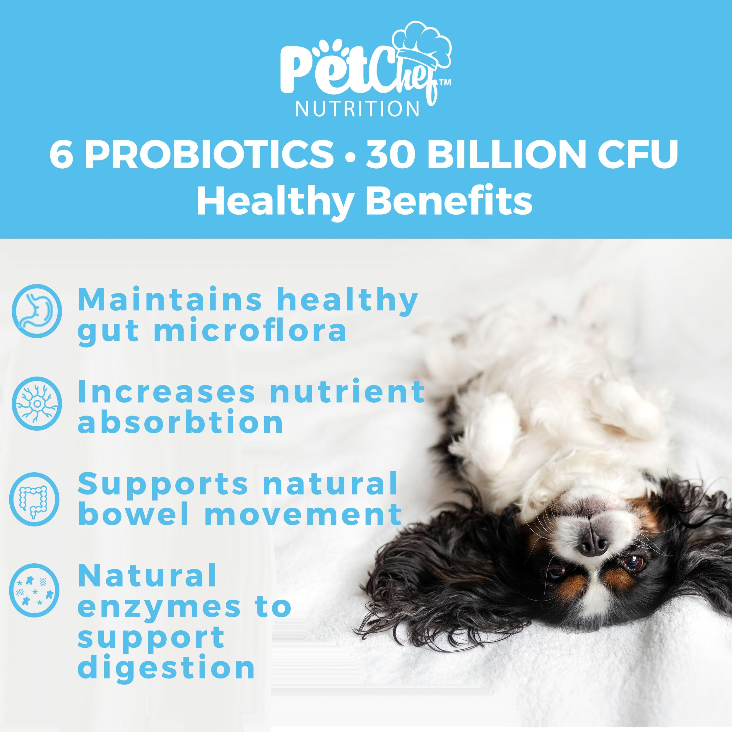 Pet Chef Dog Probiotic Prebiotic Chews-Digestion Stomach Health, Dog Smells. Probiotics & Enzymes for Dog Wellness - Improves Dog Anal Glands. All Natural & Organic