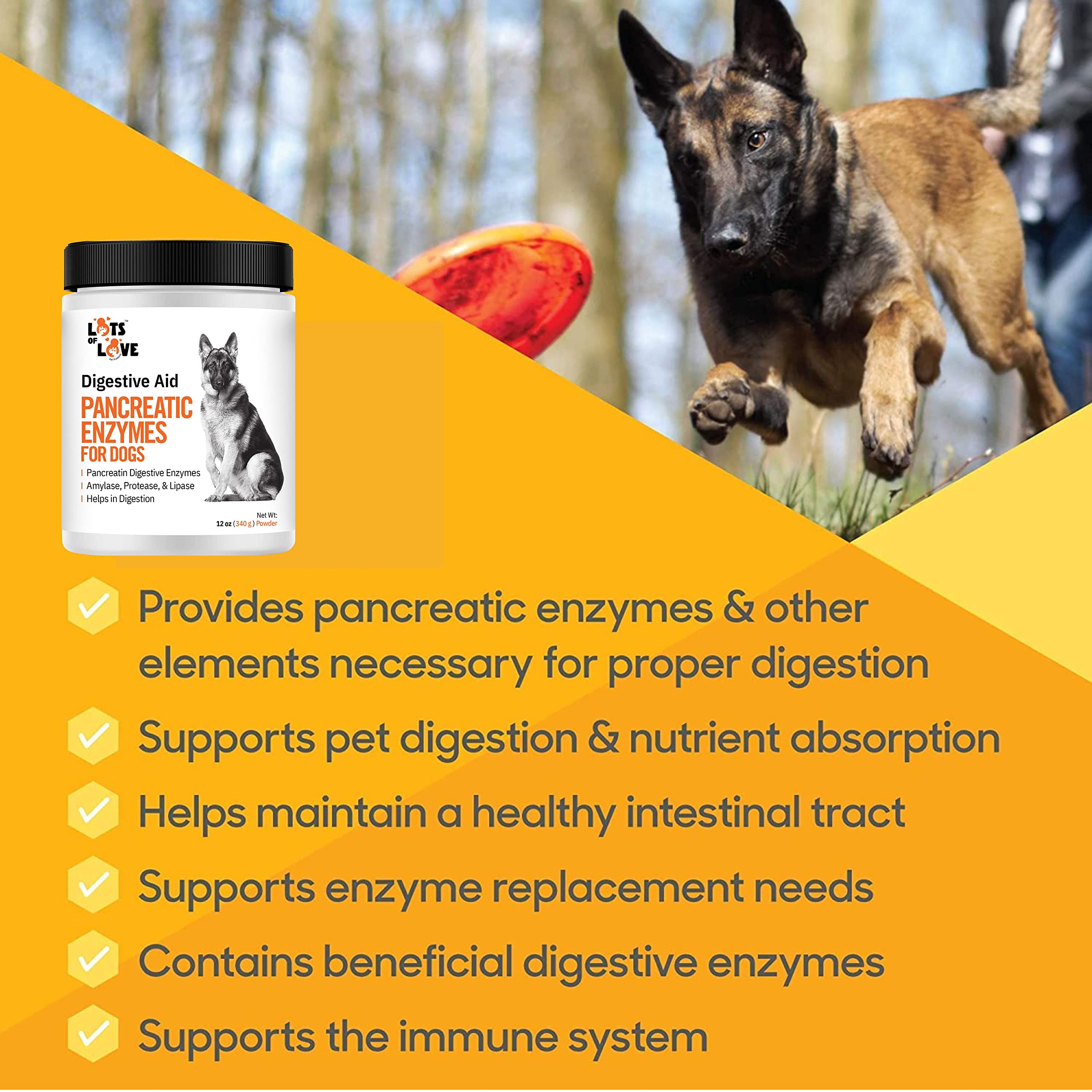 Pancreatic Enzymes for Dogs (Thomas Pet Bio Case Same Formula) - Lots of Love Pet Products - 12 Oz Powder