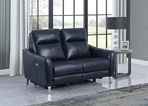 Coaster Home Furnishings Derek Upholstered Power Loveseat and Blue