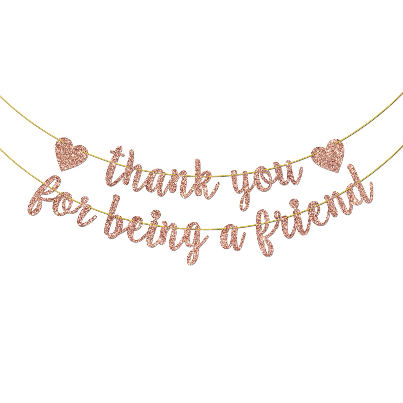 Helewilk Thank You for Being a Friend Banner, Girls Party Decorations, Thank You Party Banner, Friends Birthday/Anniversary/Graduation Party Hanging Decor Supplies