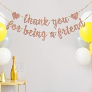 Helewilk Thank You for Being a Friend Banner, Girls Party Decorations, Thank You Party Banner, Friends Birthday/Anniversary/Graduation Party Hanging Decor Supplies