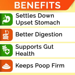 Pumpkin for Dogs + Allergy Relief Bundle - Upset Stomach + Itchy Skin Relief - Pure Pumpkin Powder + Omega 3 + Enzymes + Turmeric - Digestion Support + Skin & Coat Health - 8.1oz + 120ct - Made in USA