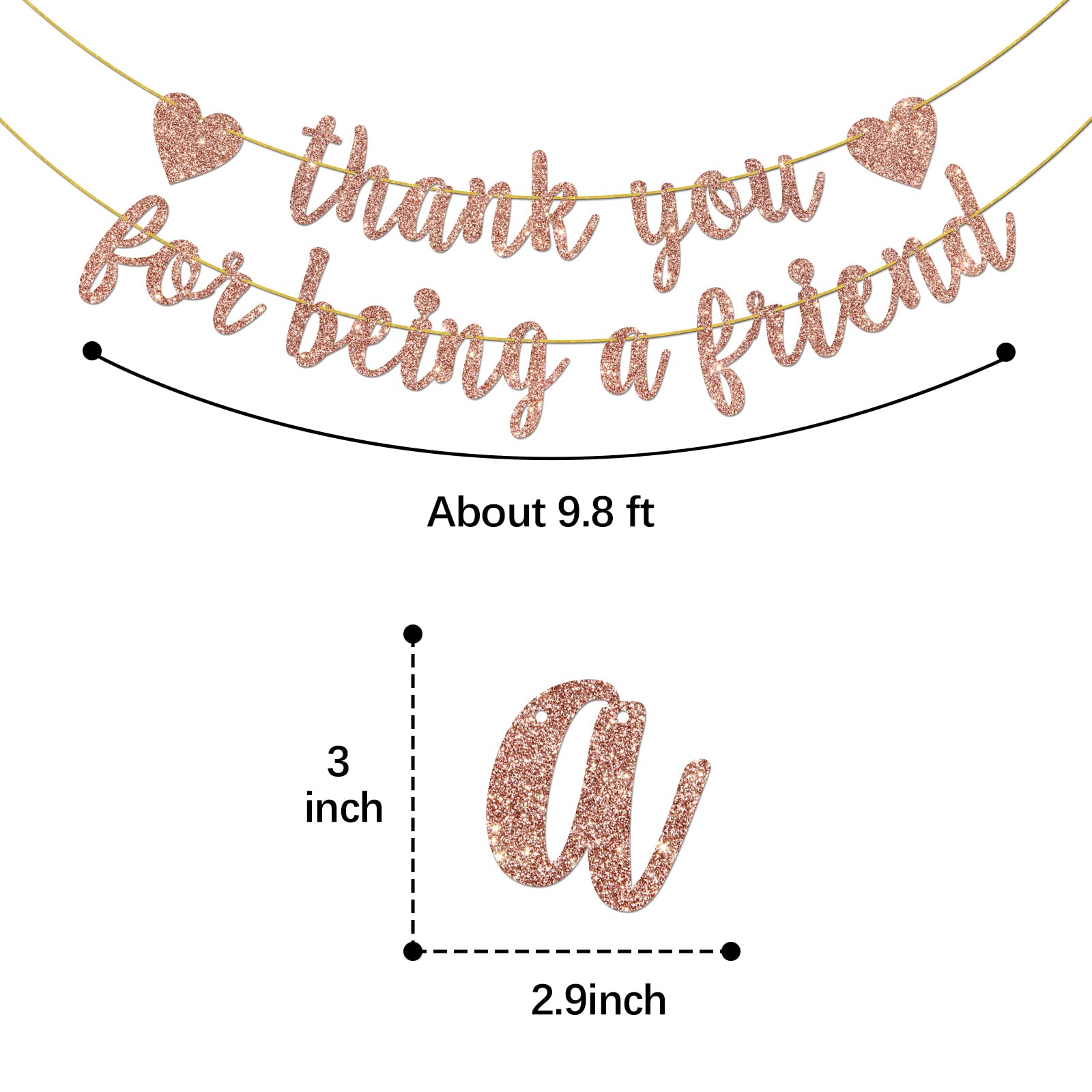 Helewilk Thank You for Being a Friend Banner, Girls Party Decorations, Thank You Party Banner, Friends Birthday/Anniversary/Graduation Party Hanging Decor Supplies