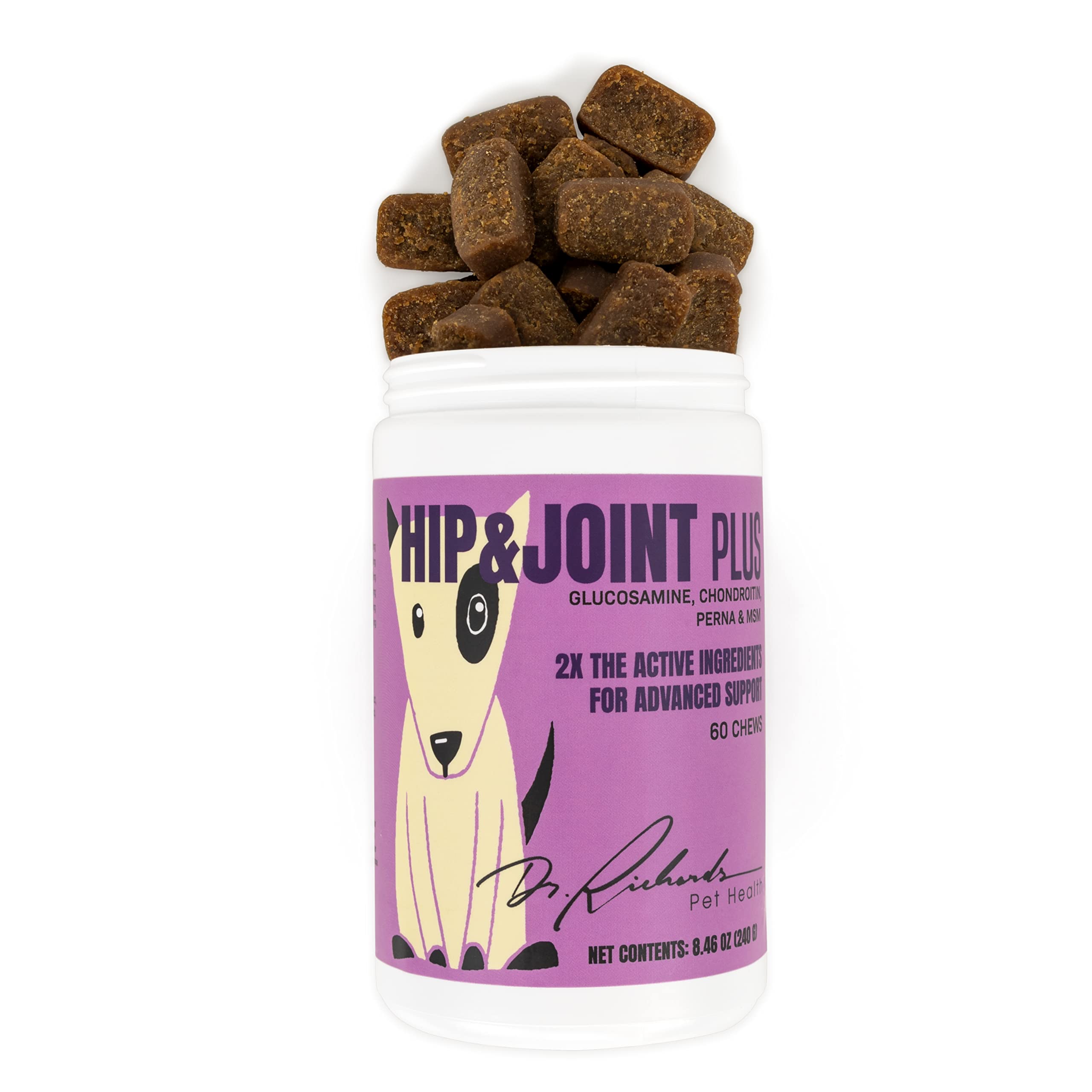 Dr. Richard's Hip & Joint Plus for Dogs - Soft Chew Supplement with Natural Perna Mussel, Glucosamine, Chondroitin, MSM. Supports Hip & Joints, Improves Nutrient Absorption, Vitamin C Antioxidants