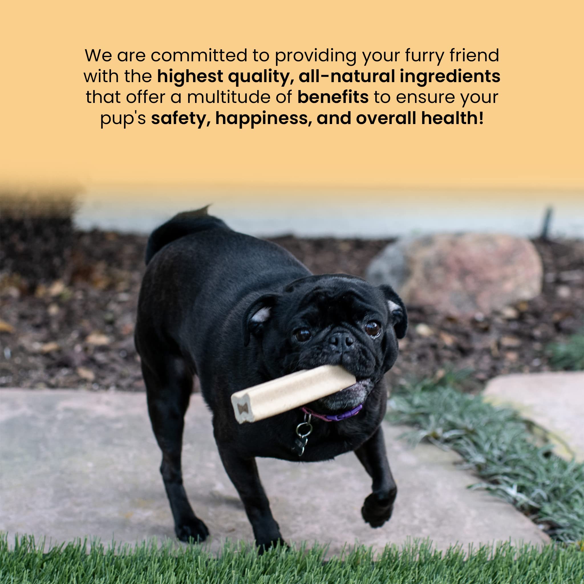 Peanut Butter Filled Dogs Bones - Stuffed Dog Bones for Small Dogs | Peanut Butter Filled Bones for Dogs Made with All Natural Ingredients | Healthy Dog Treats | Made in The USA | 14-15 Bones