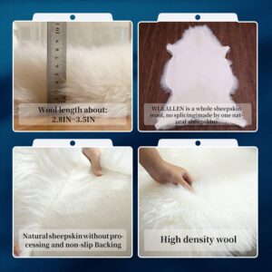 WL&ALLEN Large Sheepskin Rug Genuine Thick and Lush 3 Inch Pile，Luxury Australian Pelts |Large Sheepskin Wool Area Rugs (Large Single Pelt 2'6" x 3'7"，Ivory White)