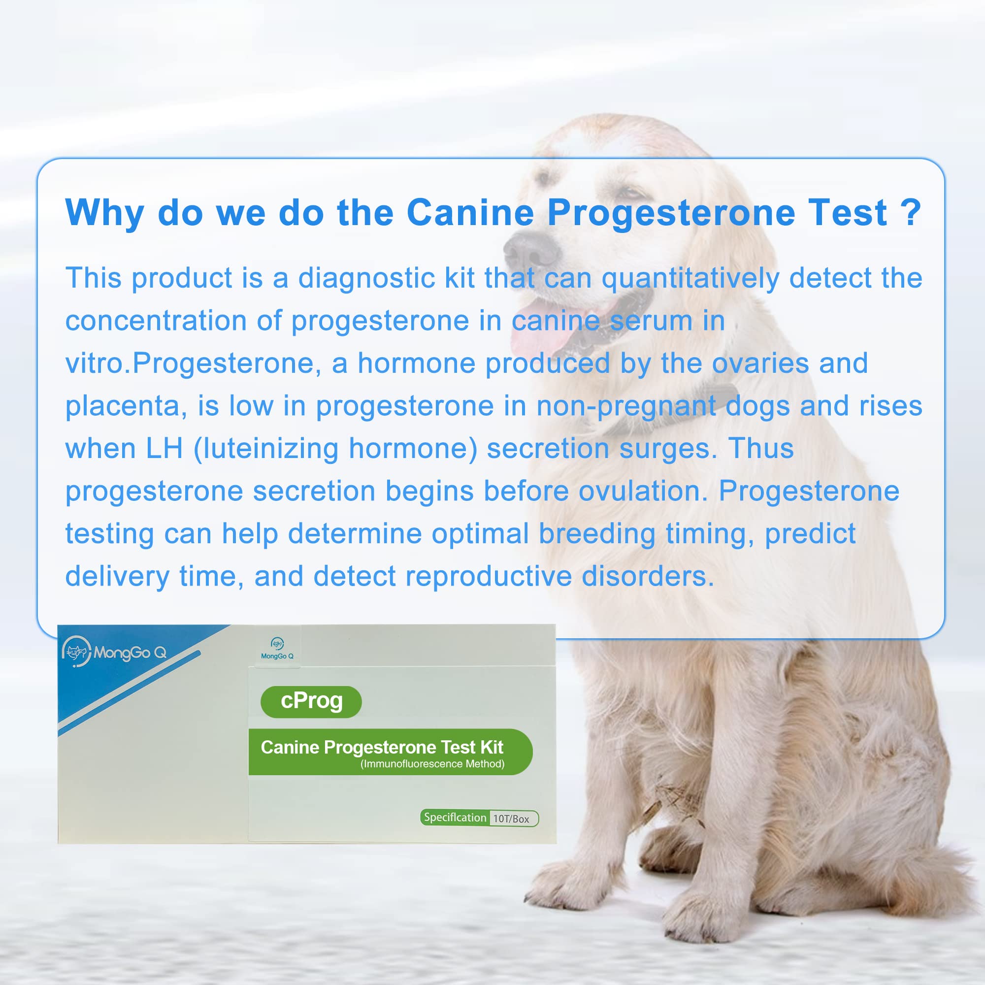 MONGGO Q 10Pcs Canine Progesterone Test Kit for Dog, only Progesterone Machine (Analyzer)