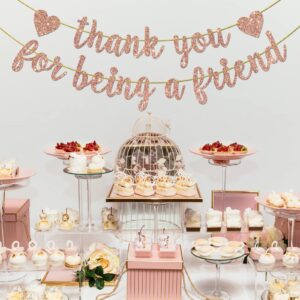 Helewilk Thank You for Being a Friend Banner, Girls Party Decorations, Thank You Party Banner, Friends Birthday/Anniversary/Graduation Party Hanging Decor Supplies