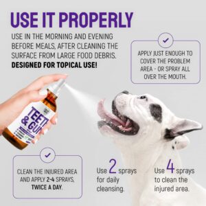 SILVER GRADE Teeth & Gum Spray for Dogs and Cats ● Dental Formula for Dog Mouth Rinse & Cat Mouth Care ● Cat & Dog Fresh Breath, Clean Teeth, No Pain Or Burning ● Dog Plaque and Tartar Remover (4 Oz)