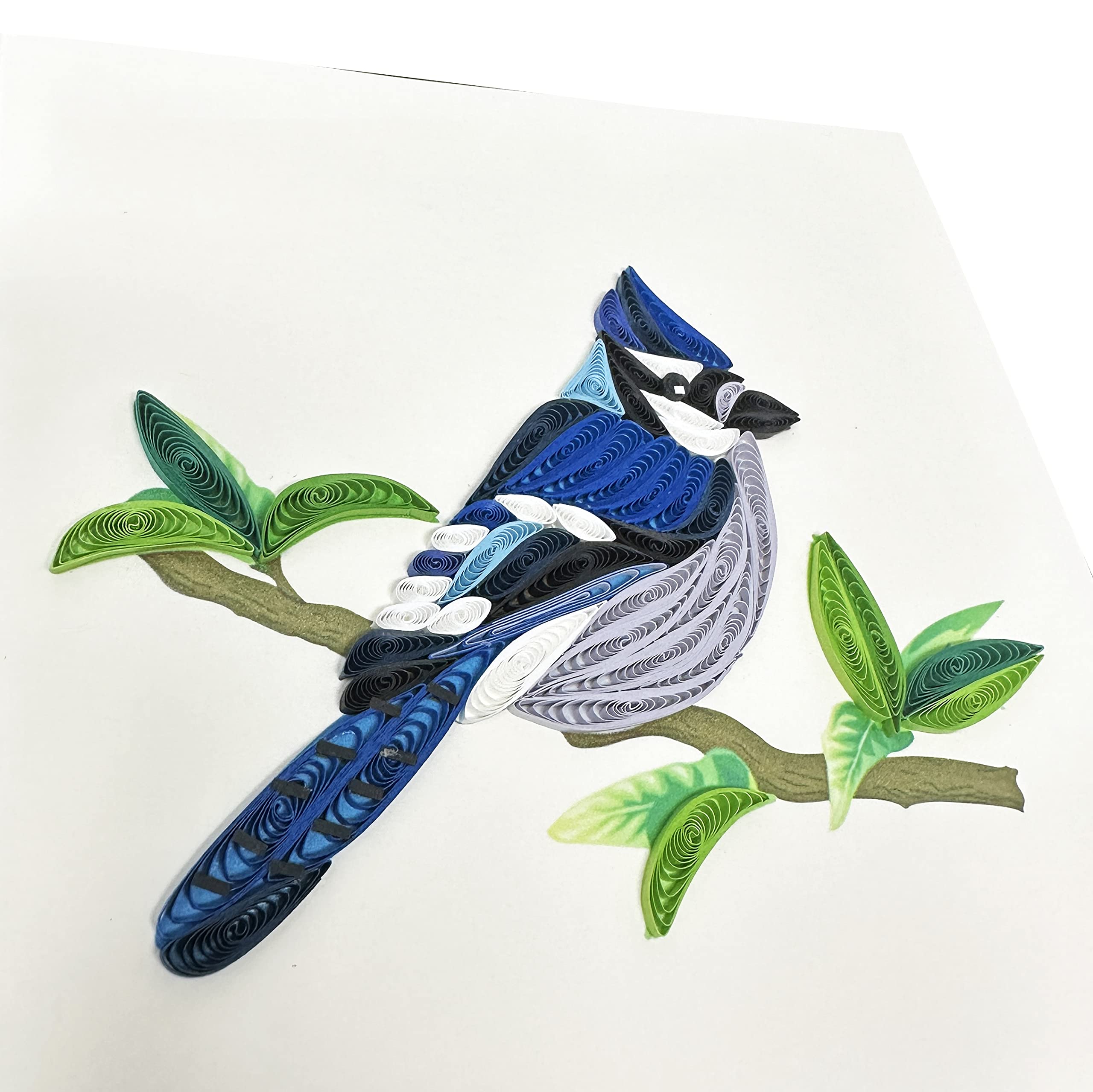 Bird Quilling Cards,Unique Paper Handmade Greeting Cards For Christmas, Birthday, Love, Mother's Day, Thank You, Any Occasion,Handcrafted With Love,Proud USA Brand (Blue Jay Bird)