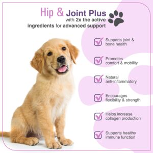 Dr. Richard's Hip & Joint Plus for Dogs - Soft Chew Supplement with Natural Perna Mussel, Glucosamine, Chondroitin, MSM. Supports Hip & Joints, Improves Nutrient Absorption, Vitamin C Antioxidants