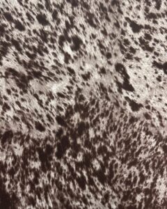 suede velvet longhorn spotted cow print cowabunga fabric upholstery / 54" wide/sold by the yard (chocolate)