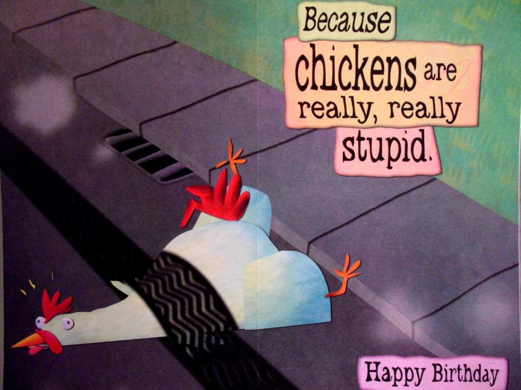 Braille Embossed Humor Birthday Greeting Card - Birthday Riddle: Why Did the Chicken Cross the Road?