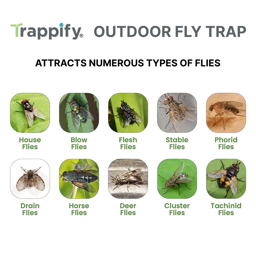 Trappify Fly Trap Bag Pre-Baited Disposable: Outdoor Hanging Wasp Traps, Fly Swatter, Fly Catcher, Waterproof, Attracts Various Flies (4 Pack)