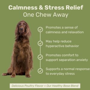 Canine Keeps Calming Chews for Dogs - Relaxation with Hemp, Chamomile & Valerian Root - Dog Anxiety Relief Supplement - Aids Separation, Travel & Storms - Calming Treats for Dogs - 90 Ct.