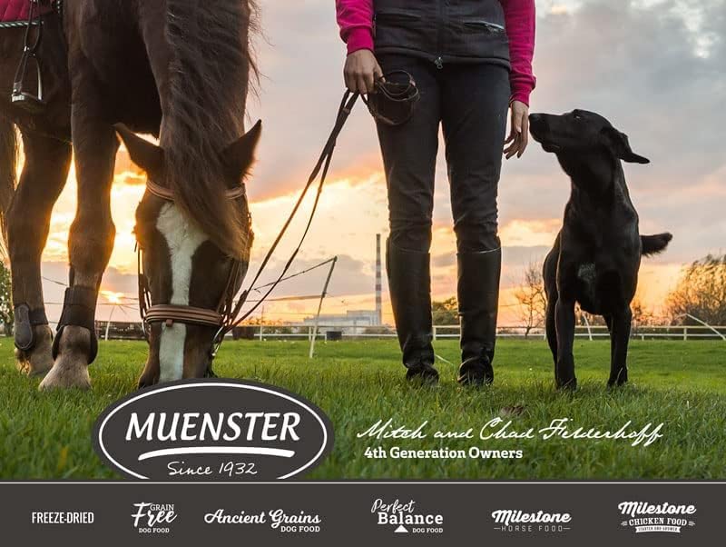 Muenster Grain Free with Salmon – Dry Dog Food or Mixer with Fish Protein - Complete and Balanced Kibble for Large, Medium or Small Breed Dogs, 4 lb