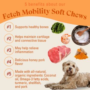 Soft Chew Multivitamin for Dogs - Mobility Focus | Joint Support and Cartilage Supplement for Dogs, Glucosamine HCl, Chondroitin Sulfate, and Curcumin | OTIS Healthy Dog Treats | 90 Counts, 9.52 oz