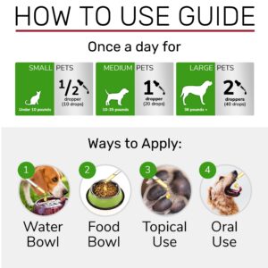 Dog UTI Treatment ✿ Cat UTI Remedy ✿ Dog Urinary Tract Infection Treatment ✿ Cat Urinary Supplement ✿ Bladder + Kidney Support for Cats & Dogs ✿ UTIs and Bladder Stones ✿ Natural Cranberry Supplement