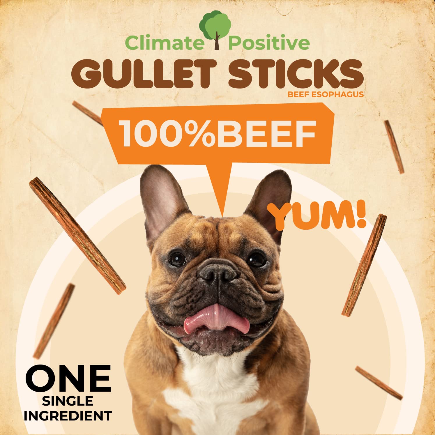 Gullet Sticks 100% Natural Beef Esophagus Dog Chews, 6” Premium Dog Treats for Training Puppies & Adults, Zero Filler or Preservatives, 24 Count