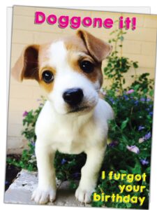 glory to dog doggone it! i furgot your birthday belated birthday card (featuring an adorable jack russell terrier puppy) with greeting card mailing envelope