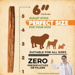 Gullet Sticks 100% Natural Beef Esophagus Dog Chews, 6” Premium Dog Treats for Training Puppies & Adults, Zero Filler or Preservatives, 24 Count