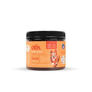 soft chew multivitamin for dogs - mobility focus | joint support and cartilage supplement for dogs, glucosamine hcl, chondroitin sulfate, and curcumin | otis healthy dog treats | 90 counts, 9.52 oz