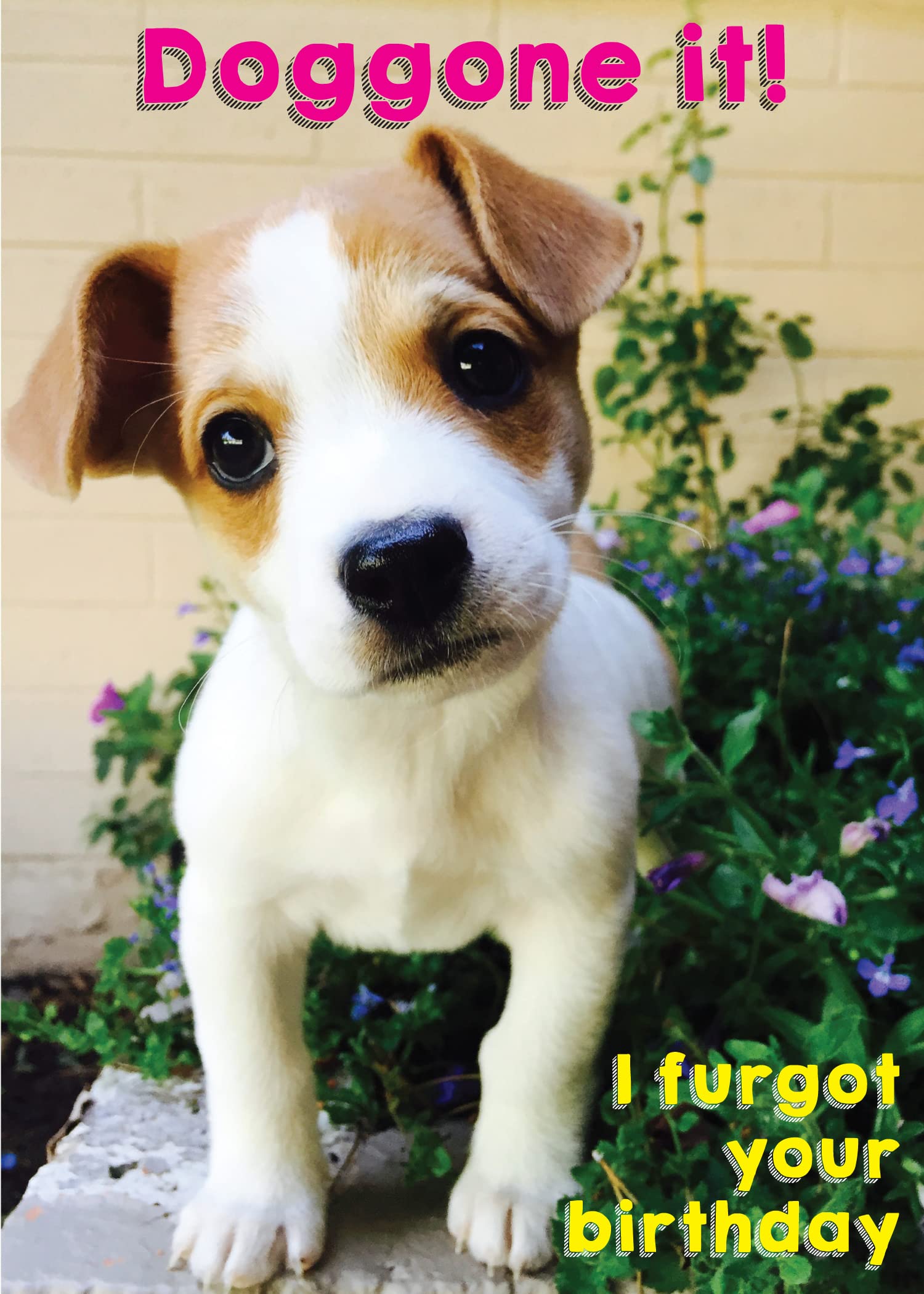 Glory To Dog Doggone It! I Furgot Your Birthday Belated Birthday Card (featuring an adorable Jack Russell Terrier puppy) with Greeting Card Mailing Envelope