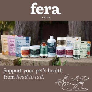 Fera Pet Organics Liver Supplement for Dogs & Cats - Vet Created - Pet Liver & Detox Function – Milk Thistle Supplement - Zinc, Choline & More - 60 Scoops​